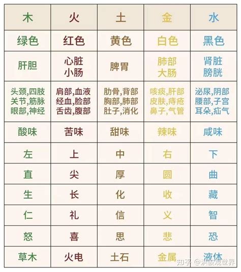 五行木代表|木的五行特性